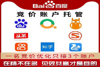 SEO与SEM优化案例：打造行业领先品牌